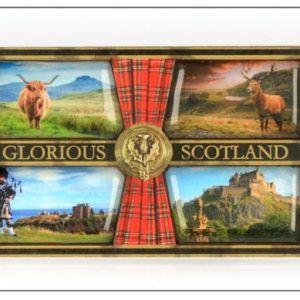 Glorious Scotland Layered Wood Magnet