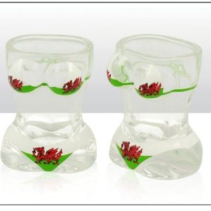 Wales Dragon Bikini Shot Glass