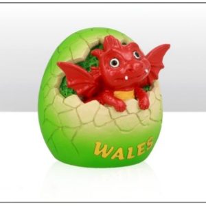 Welsh Dragon In Egg